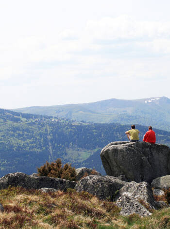 Upptäck vackra vandringsleder med storslagna panoramautsikter genom skogar och förbi sandstensklippor.